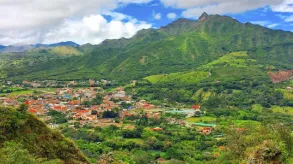 Texto alternativo aquí