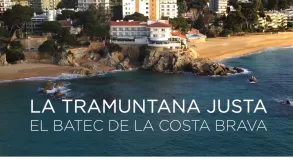 Texto alternativo aquí