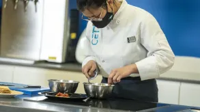 Texto alternativo aquí