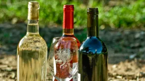 Texto alternativo aquí