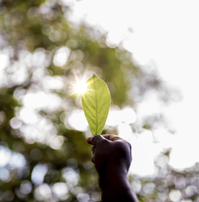 Proyecto Greenhost CETT