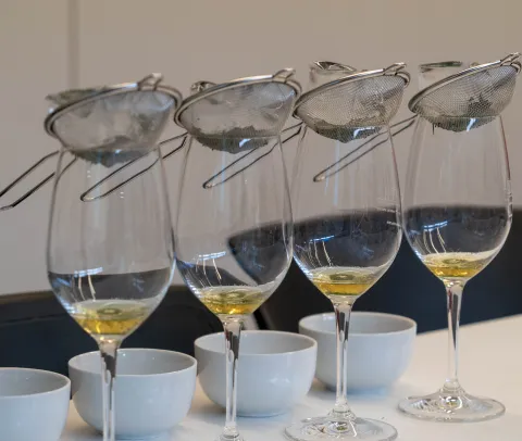Una fila de copas de vino blanco sobre la mesa