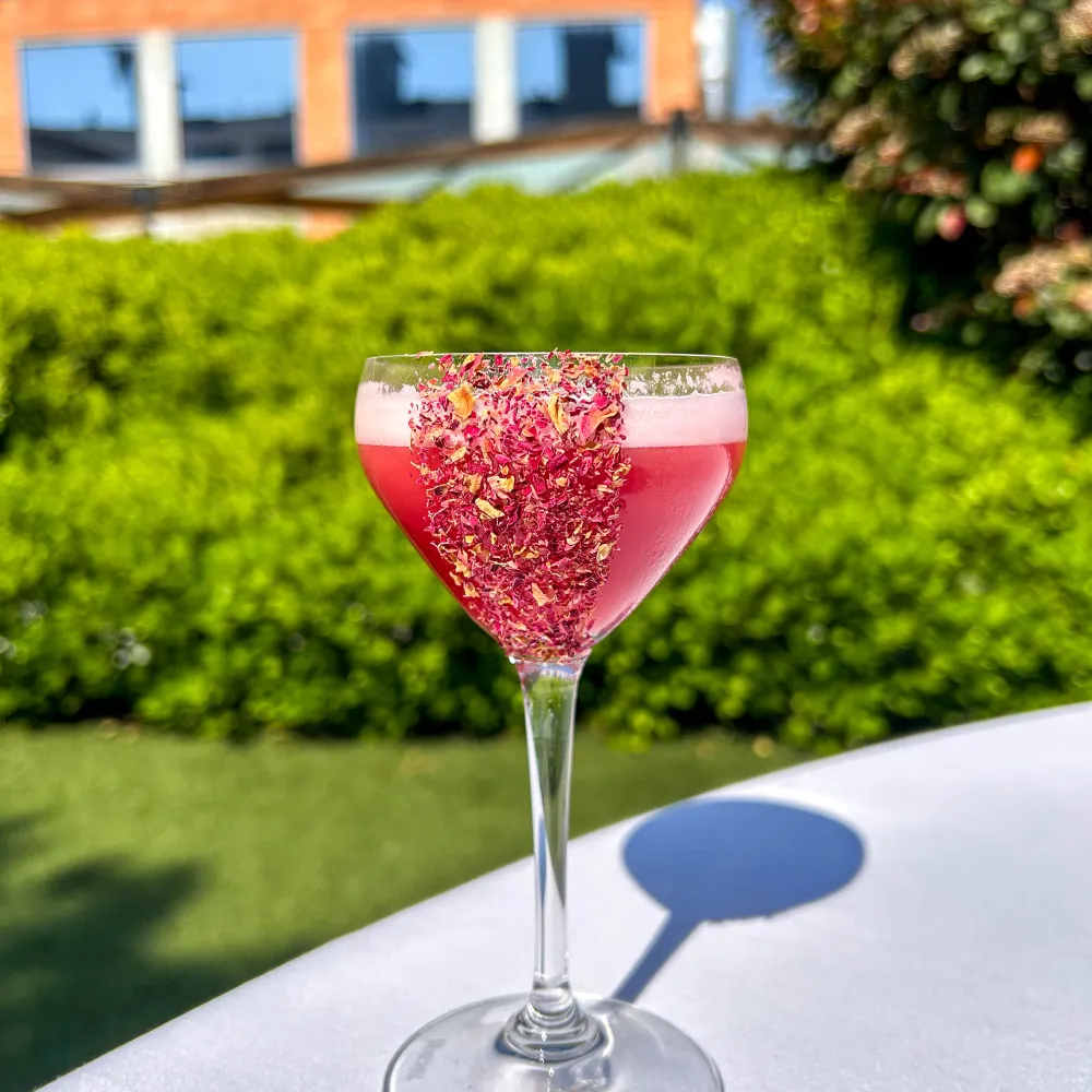 Coctel de Sant Jordi
