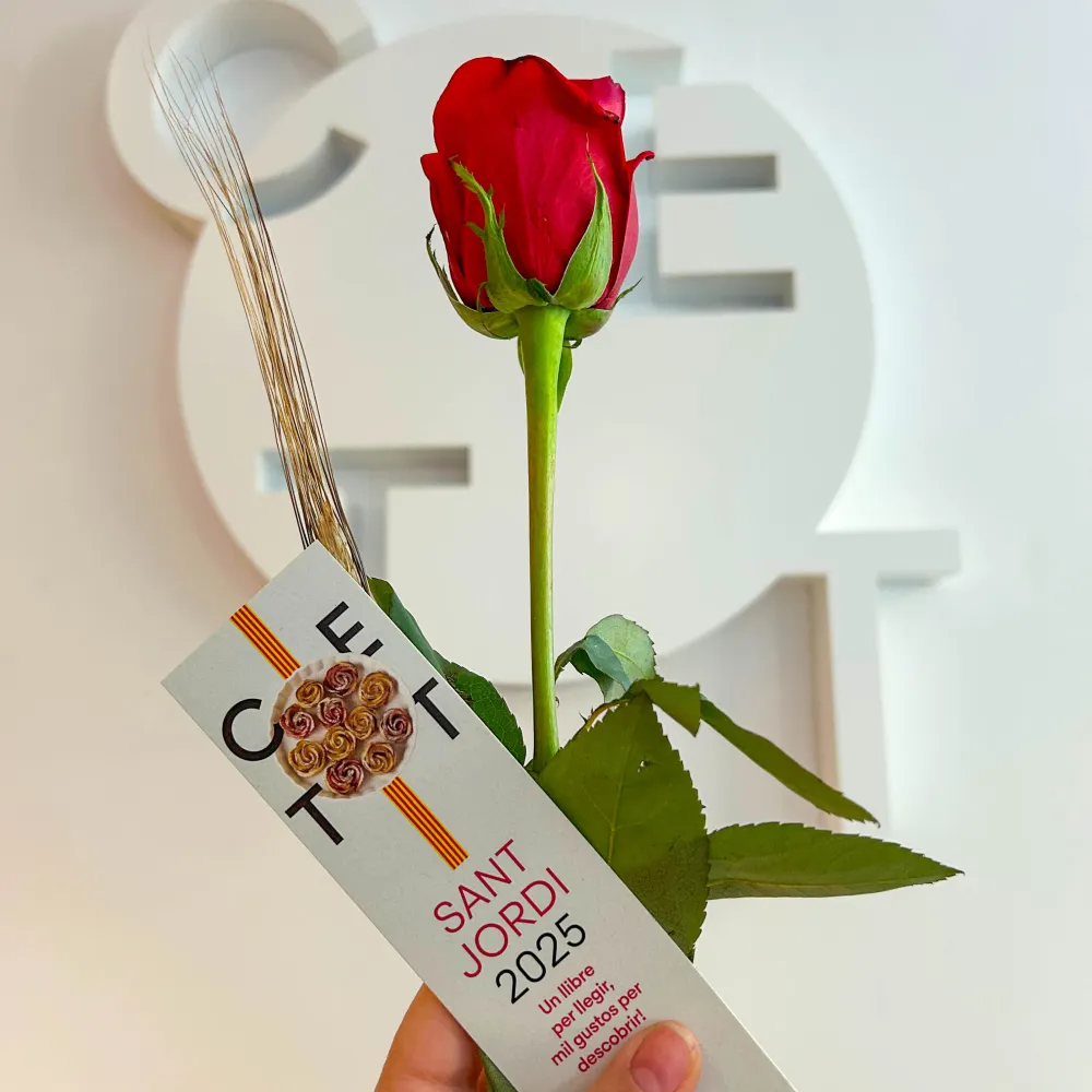 Rosa sobre logotipo del CETT