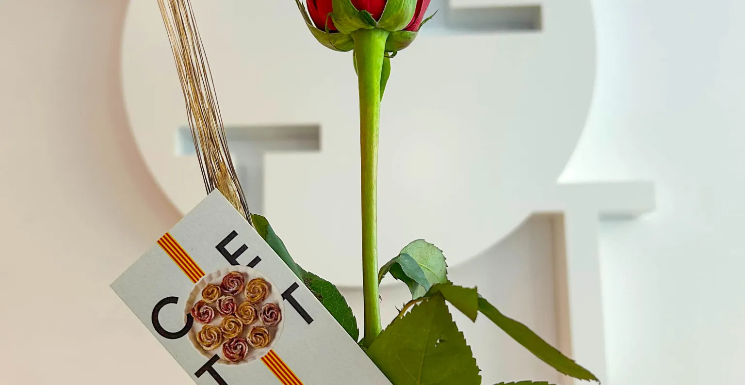 Rosa sobre logotipo del CETT