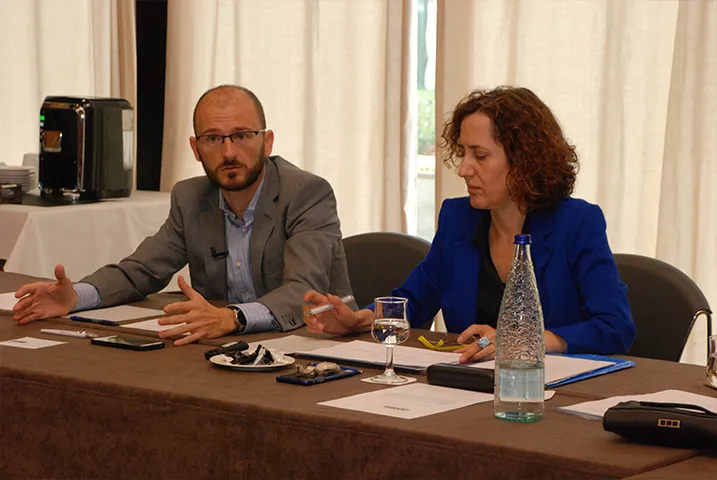 Texto alternativo aquí