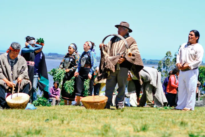 Texto alternativo aquí