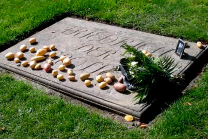 Texto alternativo aquí