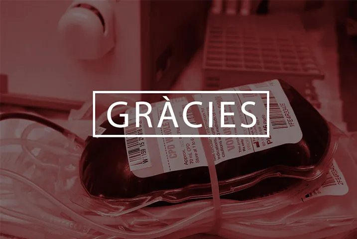 Texto alternativo aquí