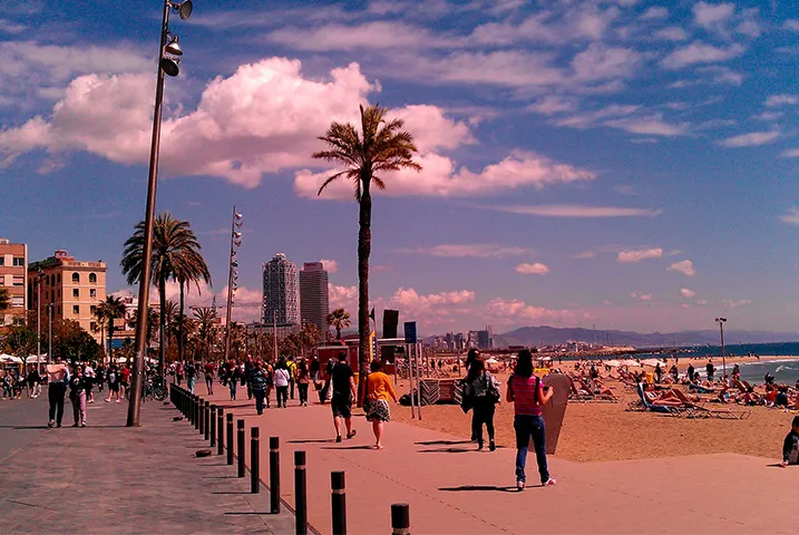 Texto alternativo aquí