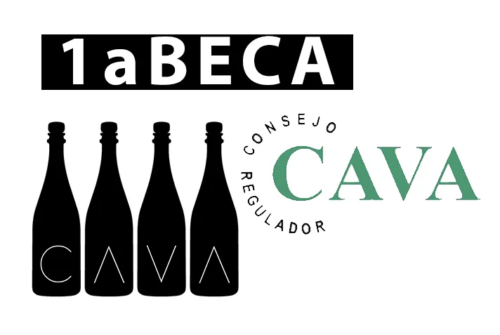 Texto alternativo aquí