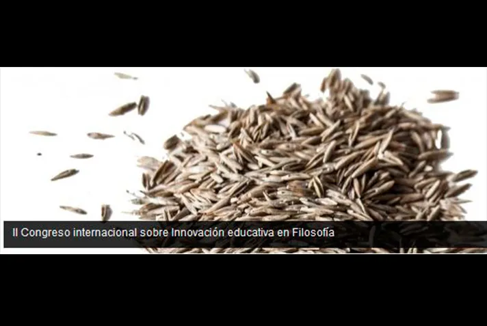 Texto alternativo aquí