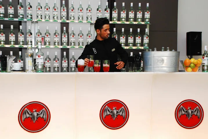 Texto alternativo aquí