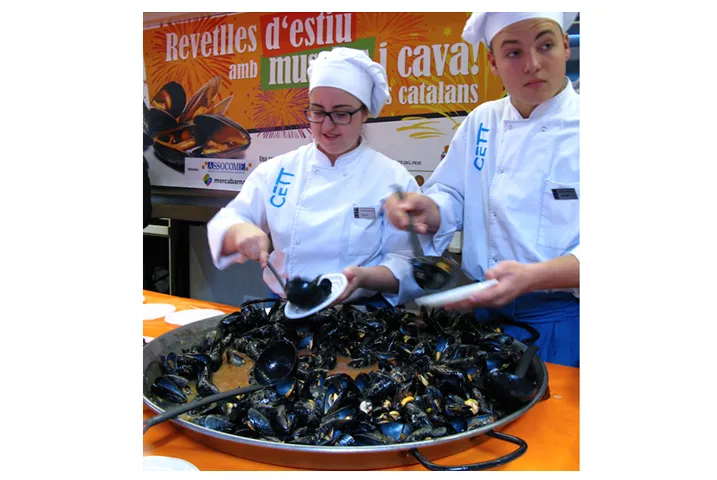 Texto alternativo aquí