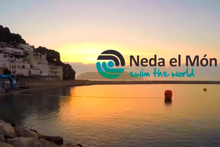 Texto alternativo aquí