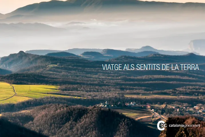 Texto alternativo aquí