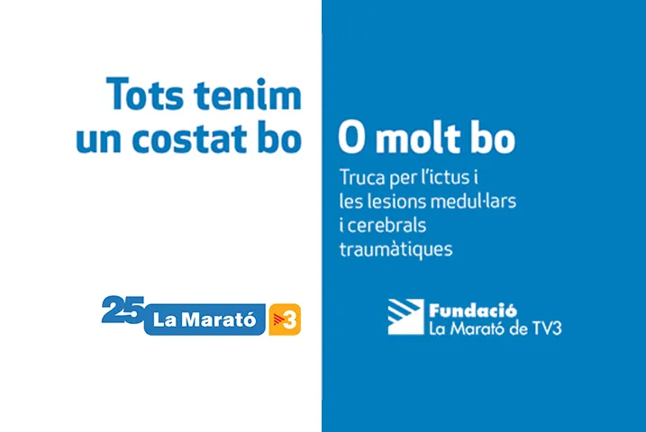 Texto alternativo aquí