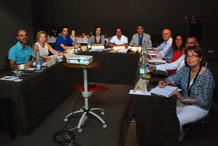 Texto alternativo aquí