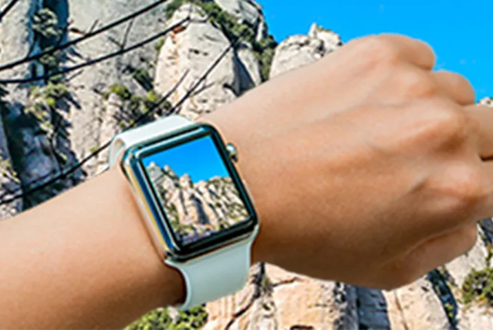 Texto alternativo aquí