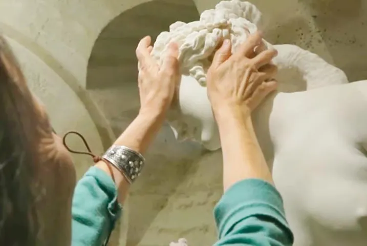 Texto alternativo aquí