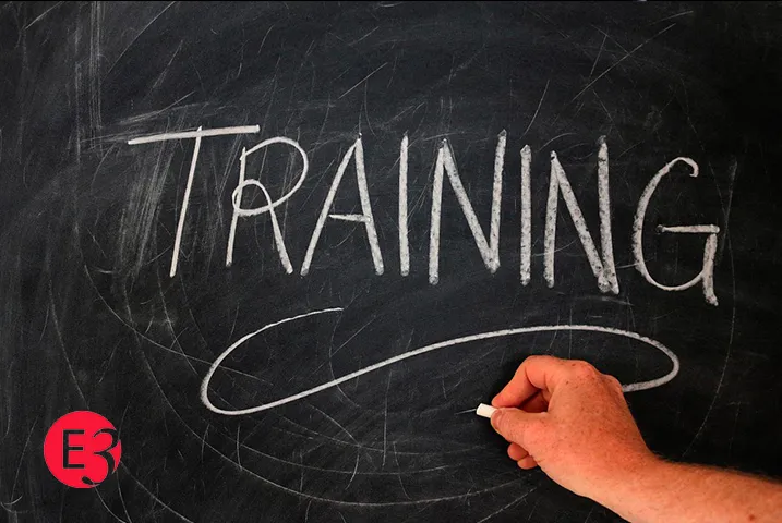 Texto alternativo aquí