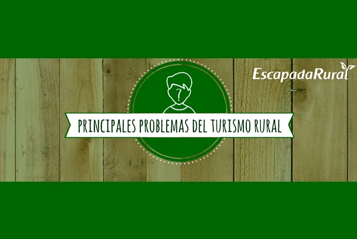 Texto alternativo aquí