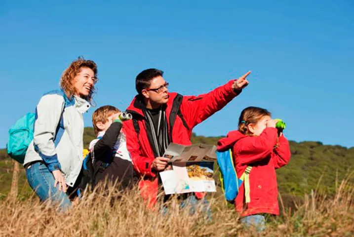 Texto alternativo aquí