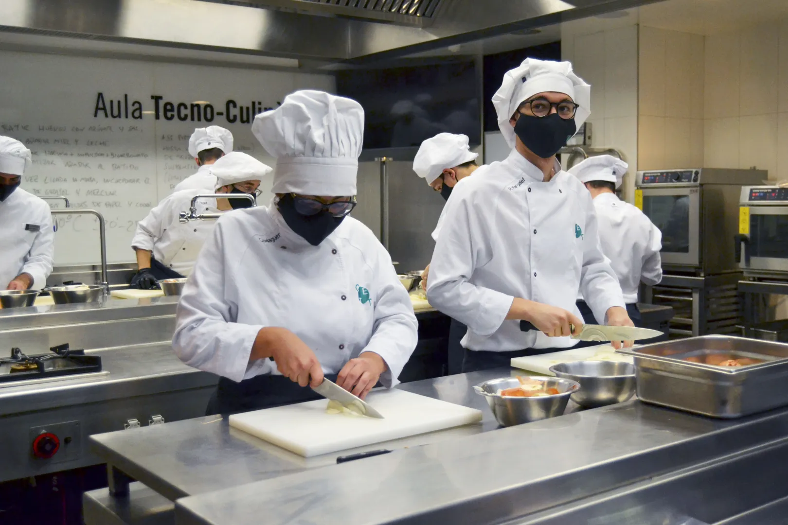 Texto alternativo aquí