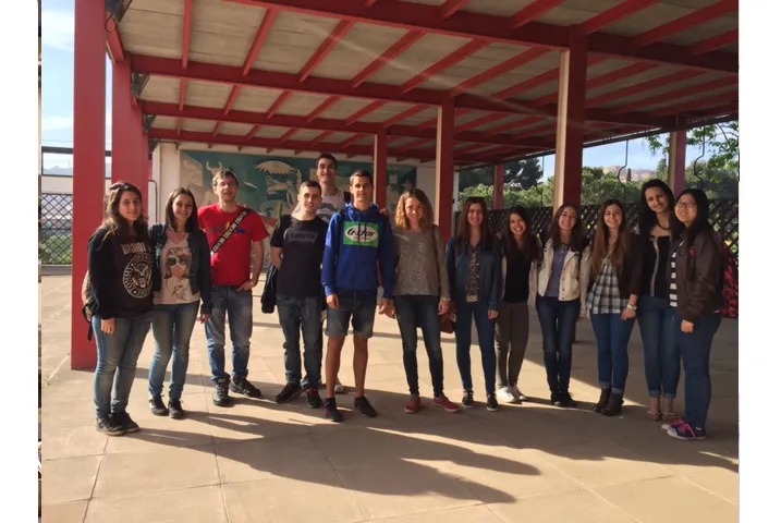 Texto alternativo aquí