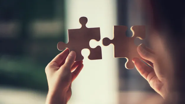 Texto alternativo aquí