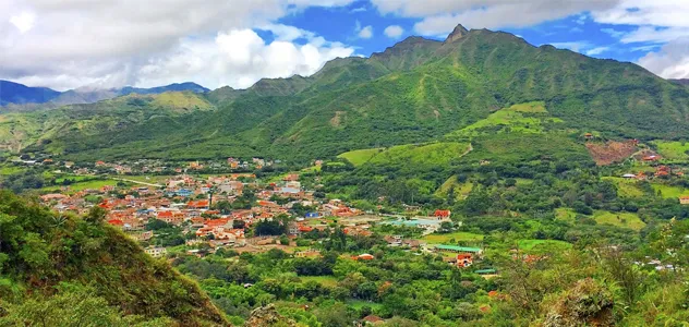 Texto alternativo aquí