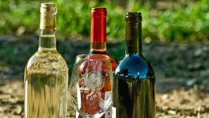 Texto alternativo aquí